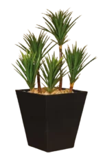 High Square Tree Pot MS 70