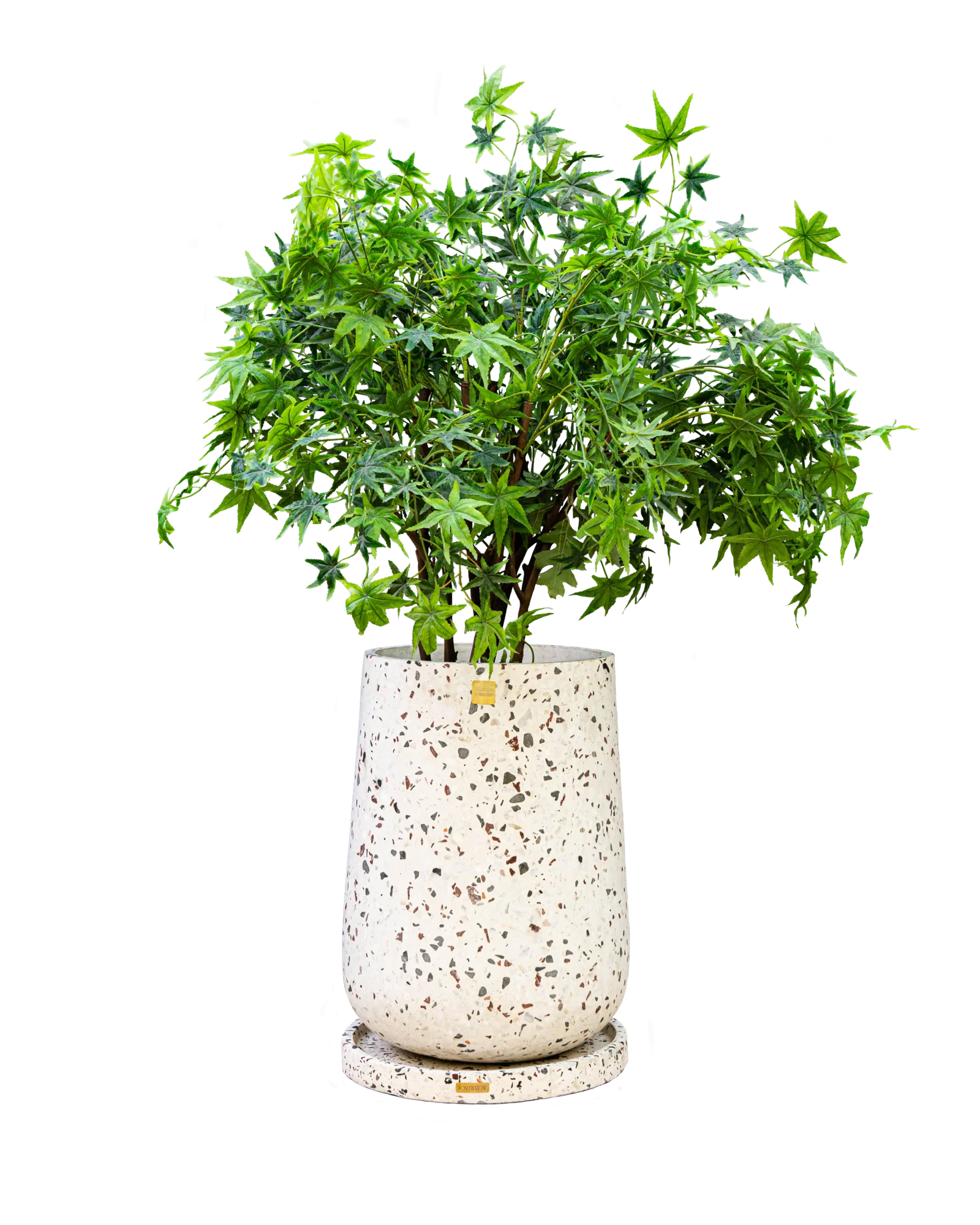 Sia large Tree pot Sia large Tree pot - Image 1