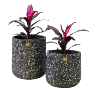 Sia small Tree pot Sia GRC small Tree pot - Image 1