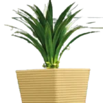 Square Tree Pot VSQZ45