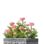 Zahwa Rectangular Tree Pot