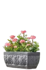 Zahwa Rectangular Tree Pot