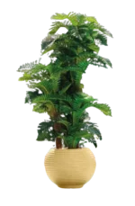 Zalaah Tree Pot