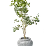 Zen Eucalyptus Artificial Tree