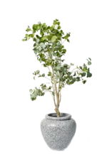 Zen Eucalyptus Artificial Tree