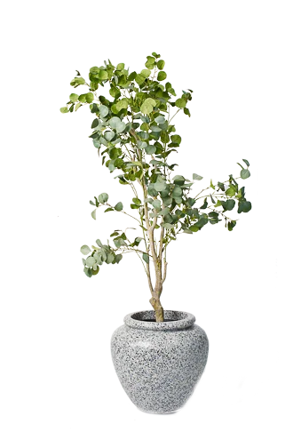 Zen Eucalyptus Artificial Tree Zen Eucalyptus Artificial Tree - Image 1
