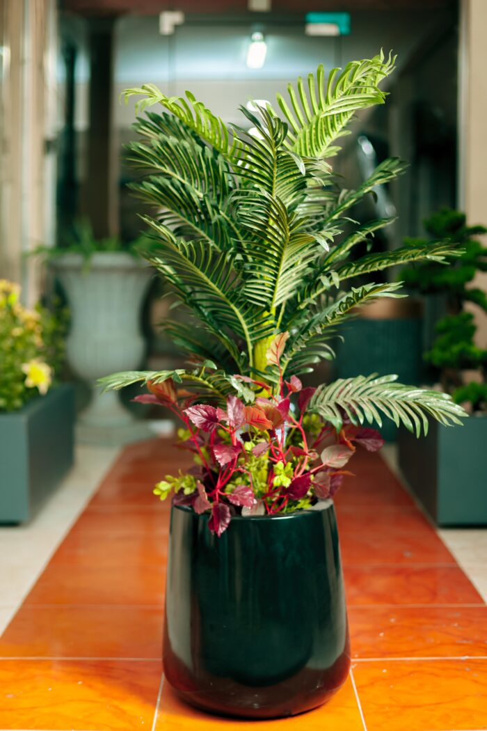 Areca Grevera with red shrub Artificial Tree  155 cm - Image 2