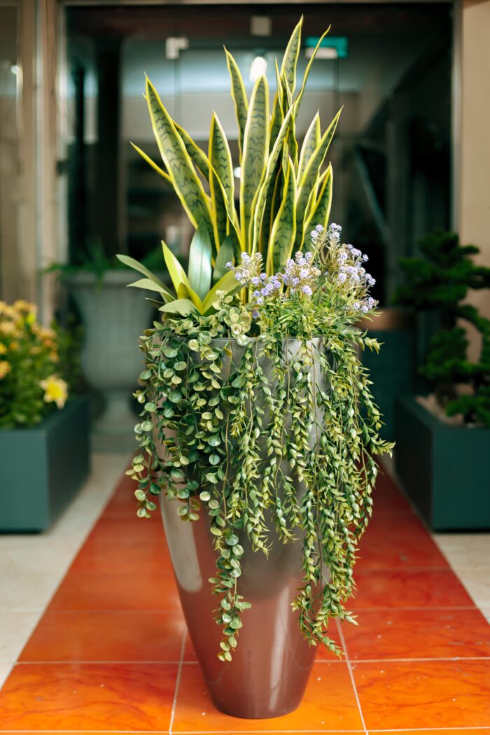 Tiger Cactus with lavender Artificial Tree 160-170 cm - Image 5