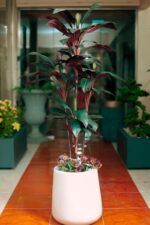 Dark red Corydaline Artificial Tree 170 cm - Image 2