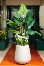 Alocasias Artificial Tree  170 cm - Image 2