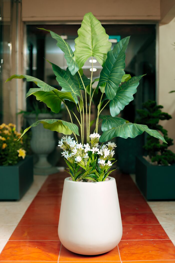 Alocasias Artificial Tree  170 cm - Image 2