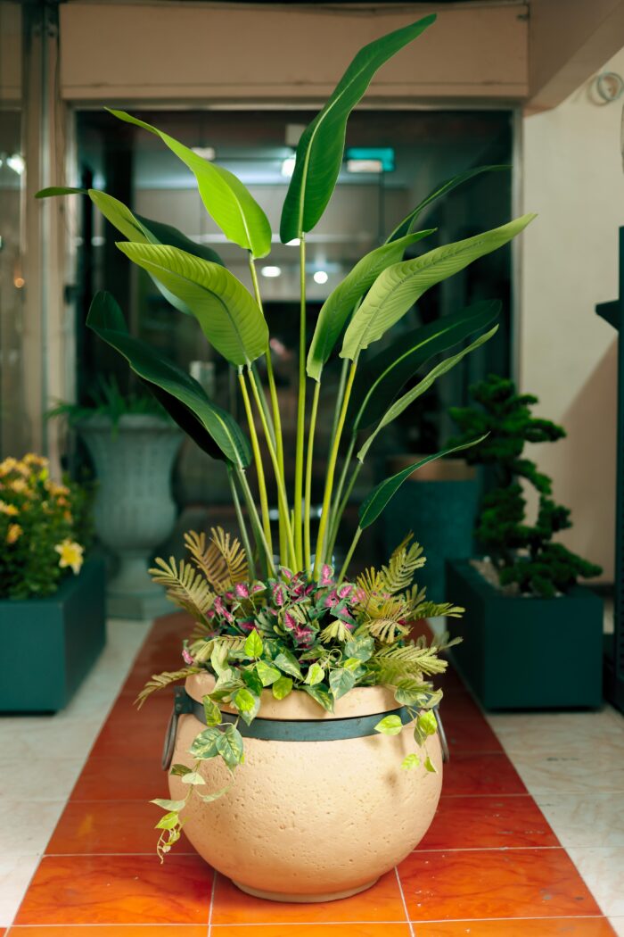 Royal Banana with shrubs Artificial Tree 200-230 cm - Image 2