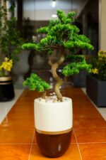 Bonsai Artificial Tree 130-140 cm - Image 3