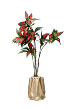 Ember edge Cordaline artificial tree 170cm