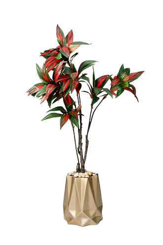 0AKL0002 Ember edge Cordaline artificial tree 170cm - Image 1