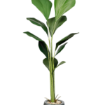 Seashell Artificial tree 180-190 cm