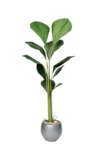 0AKL0010 Seashell Artificial tree 180-190 cm - Image 1