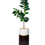 Guava charm artificial tree 170 cm