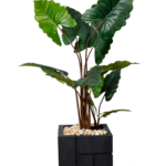 Exotic DR Alocasia Artificial tree 180-190 cm