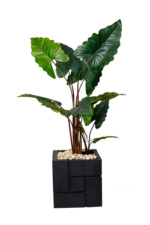 Exotic DR Alocasia Artificial tree 180-190 cm