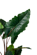 Exotic DR Alocasia Artificial tree 180-190 cm - Image 2