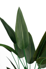 Orchid  Strelitzia Nicolai Artificial Tree 180-190 cm - Image 2