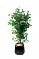 Green Benjamin artificial tree 170 cm