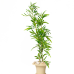 Bamboo Bliss artificial tree 130 cm