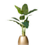 Paradise banana artificial tree 180 cm