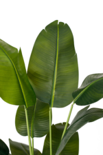 Paradise banana artificial tree 180 cm - Image 2