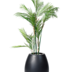 Effortless Areca palm artificial tree 180 cm