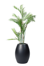 Effortless Areca palm artificial tree 180 cm
