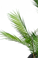 Effortless Areca palm artificial tree 180 cm - Image 2