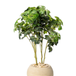 Schefflera artificial tree 90cm