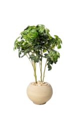 Schefflera artificial tree 90cm
