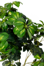 Schefflera artificial tree 90cm - Image 2