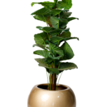 Evergreen Pothos artificial tree