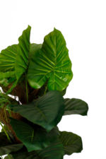 Evergreen Pothos artificial tree - Image 2