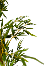 Bamboo fine weave artificial tree - Image 2