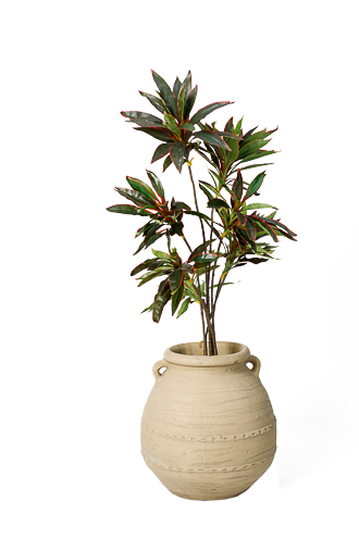 0AKL0219 Grand red Dracena artificial tree 180cm - Image 1