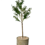 Zaytone ol 02 artificial tree 170 cm
