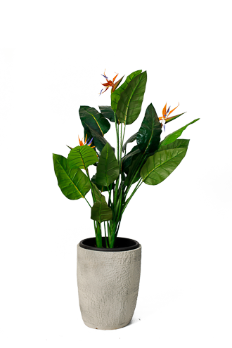 0AKL0237 Strelitzia grandeur artificial tree 160 cm - Image 1