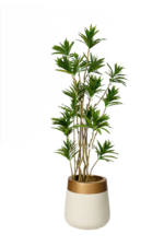 Real wood Dracena artificial tree 180cm