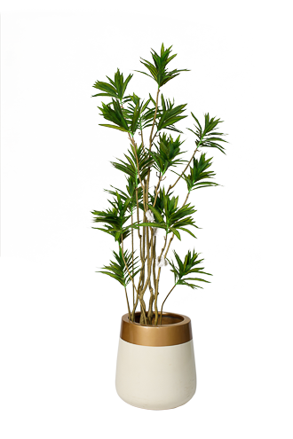 0AKL0269 Real wood Dracena artificial tree 180cm - Image 1