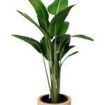 Augasta jeans grand artificial tree 180-190cm