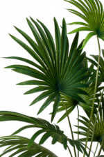 Latania Artificial tree 170 cm - Image 2