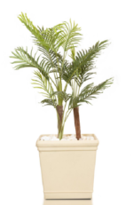 RO Evergreen  Areca Artificial tree 160cm