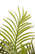 RO Evergreen  Areca Artificial tree 160cm - Image 2