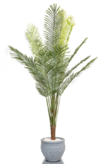 Single Feathery Areca  Artificial Tree 170 cm