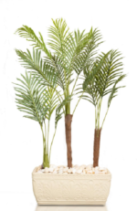 ZA Evergreen Areca Artificial tree 160cm
